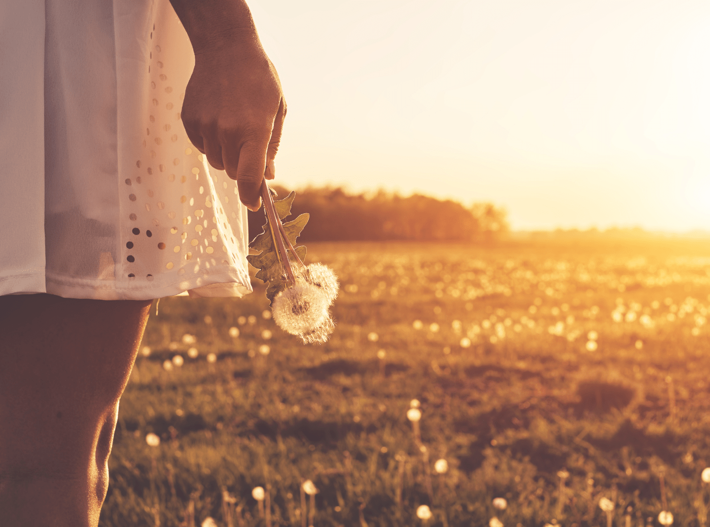 poder de la intención